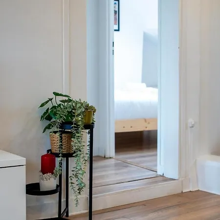 Apartment Le Bleuet - - Quartier Des Halles *